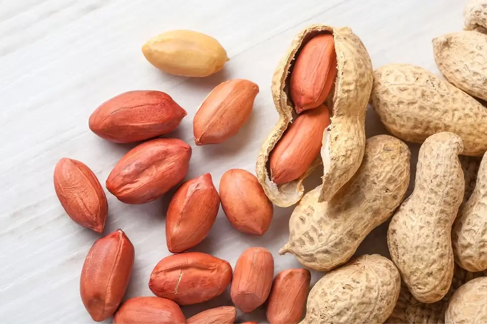 129e86_a6f870b413ae435ea7289c04f05411d3mv2 10 Alimentos Ricos em Proteínas Que Você Precisa Conhecer